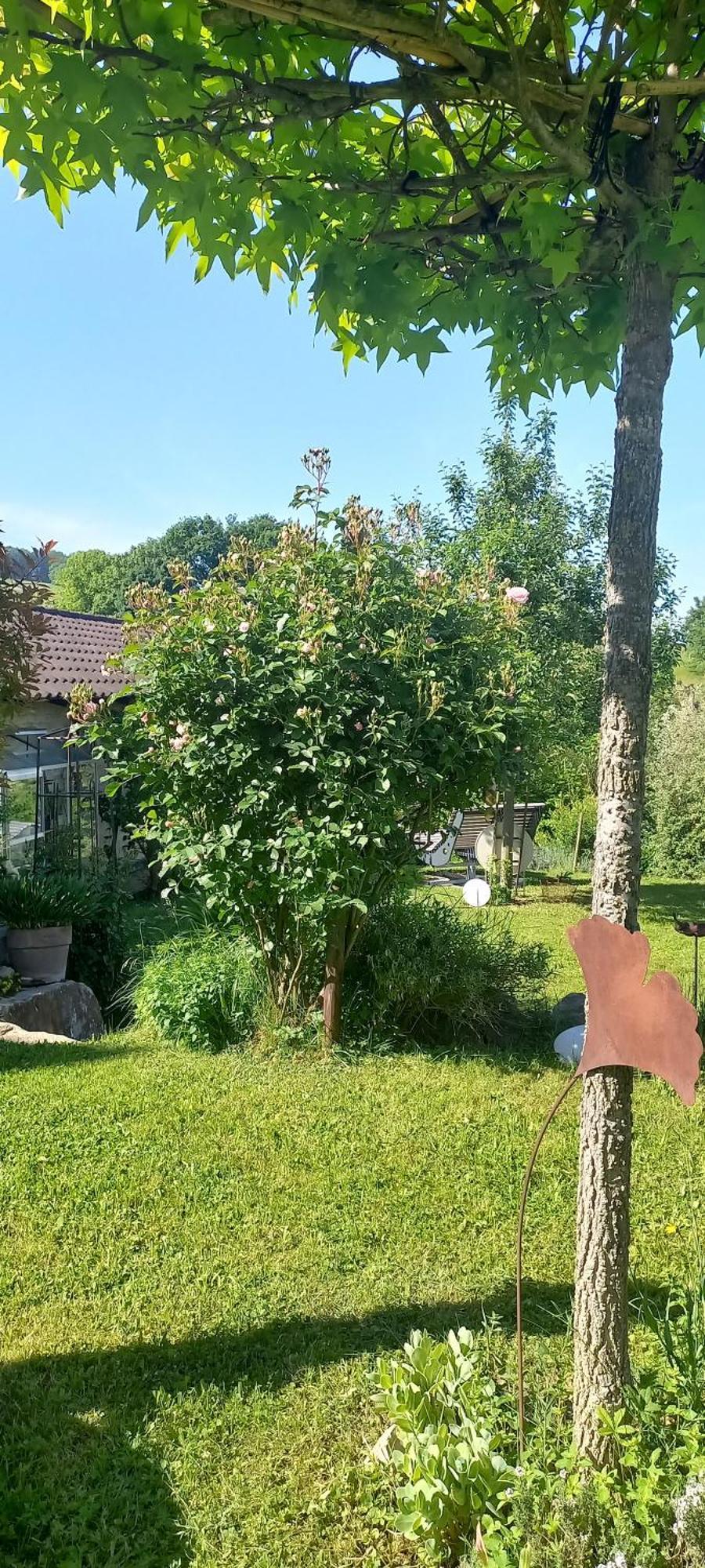 Ferienwohnung Rebgaertle Britzingen Exterior foto